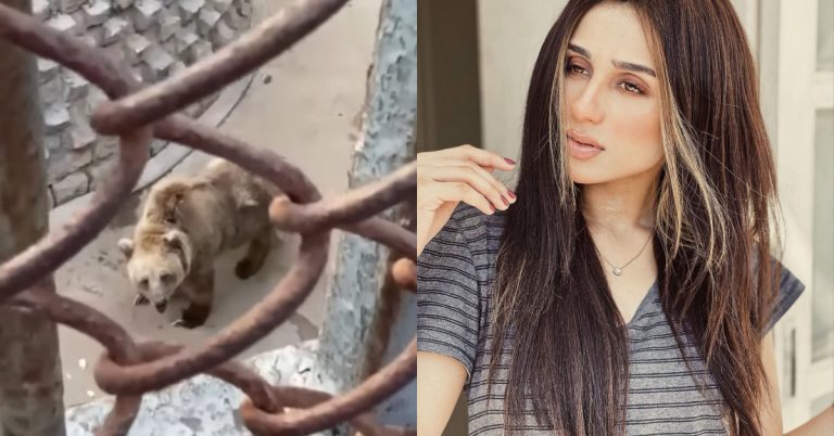 Mashal Khan’s Effort For Bear Rano Wins