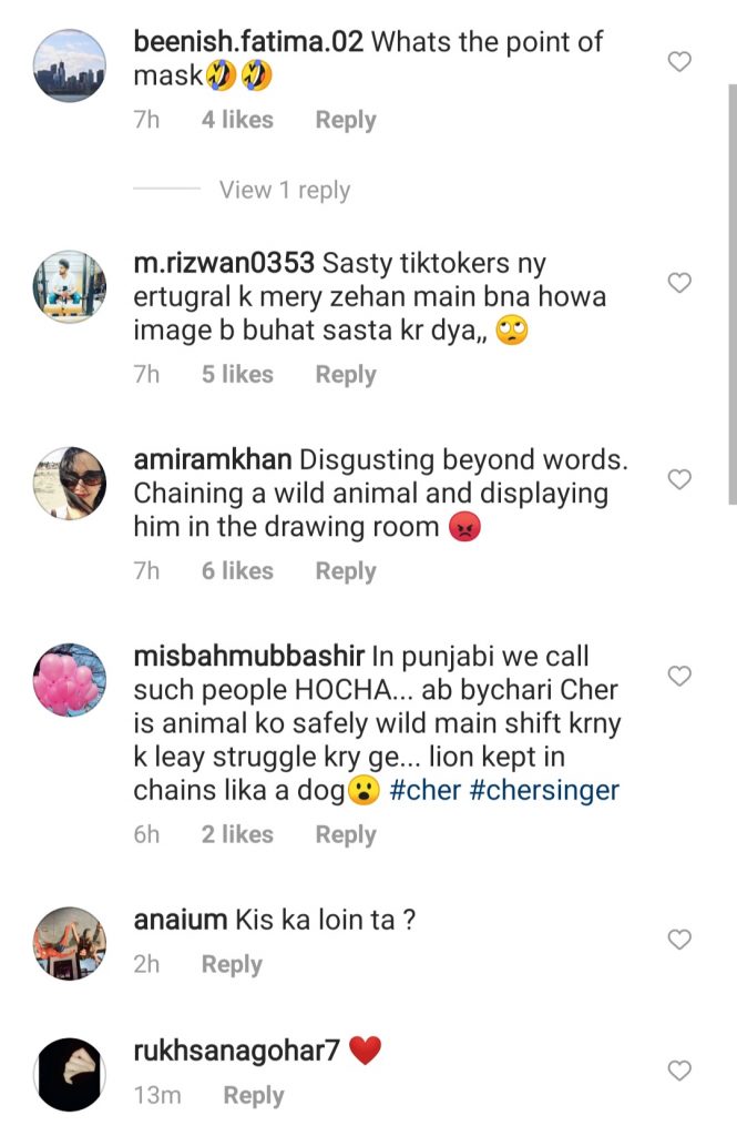 Engin Altan Holding Lion - Public Reaction