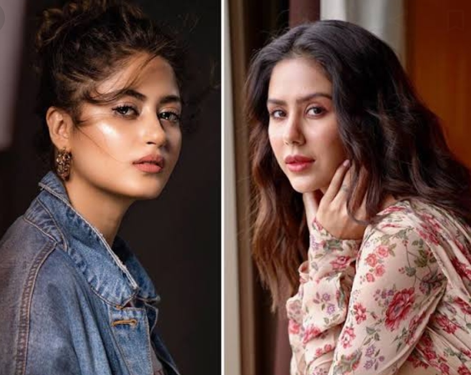 Sonam Bajwa Praises Sajal Aly