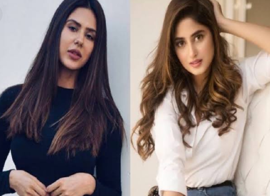 Sonam Bajwa Praises Sajal Aly