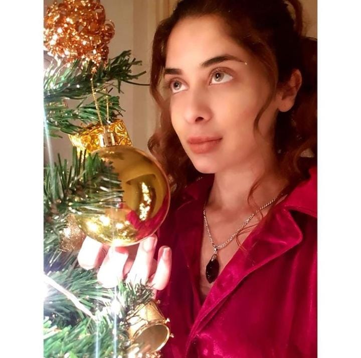 Beautiful Christmas Looks Of Celebrities