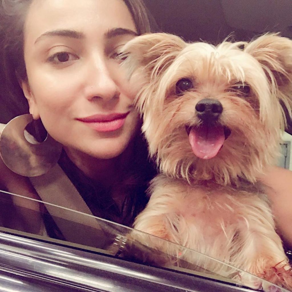 Unseen Pictures of Anoushey Ashraf with Her Favorite Animals