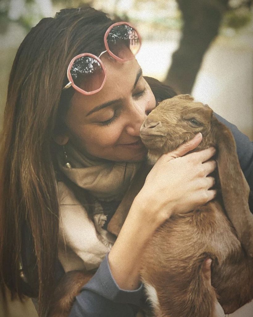 Unseen Pictures of Anoushey Ashraf with Her Favorite Animals