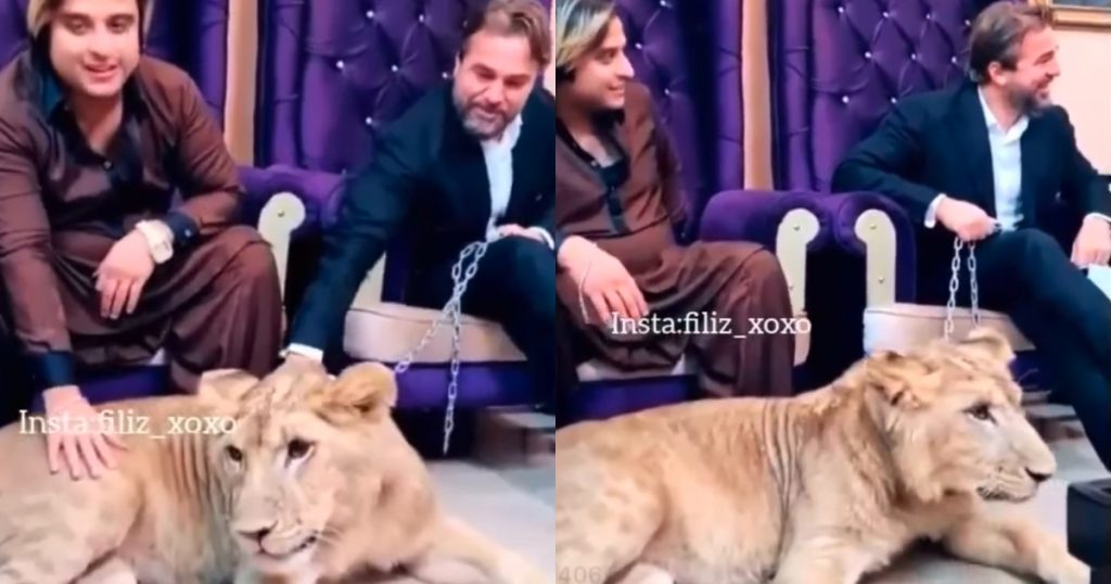 Engin Altan Holding Lion - Public Reaction