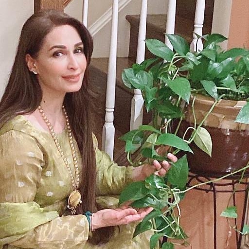 Latest Trendy Eastern Dresses of Reema Khan