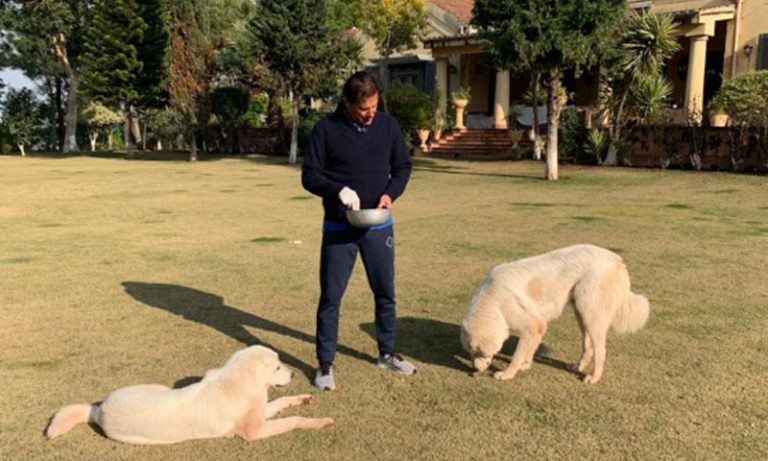 How PM Imran Khan spent his weekend ???