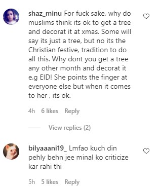 Noor Bukhari Decorating Christmas Tree - Public Criticism