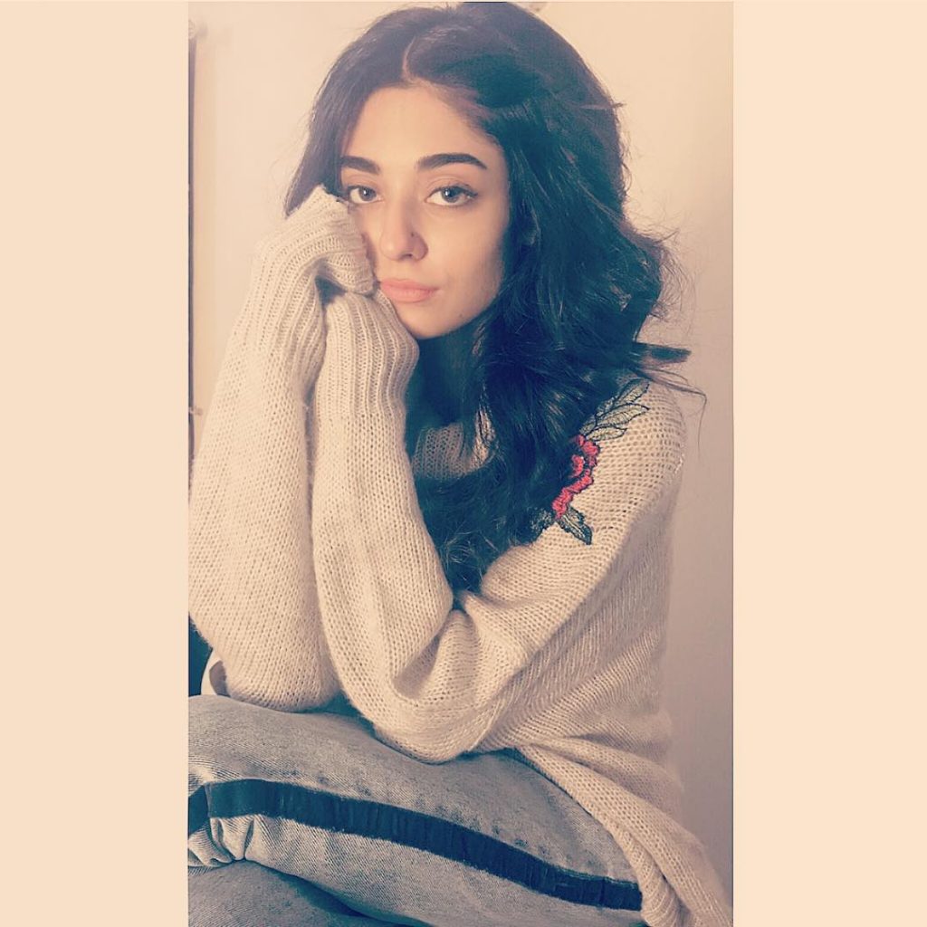 Best Winter Pullovers of Noor Zafar Khan