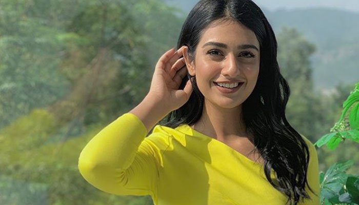 Sarah Khan Fixed The Netizen Who Tried to School Her