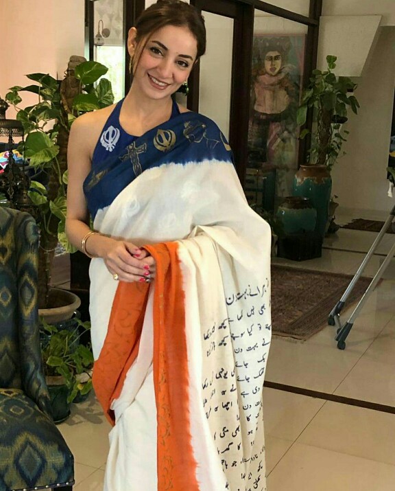 Stylish Pictures Of Sarwat Gilani in Sarees