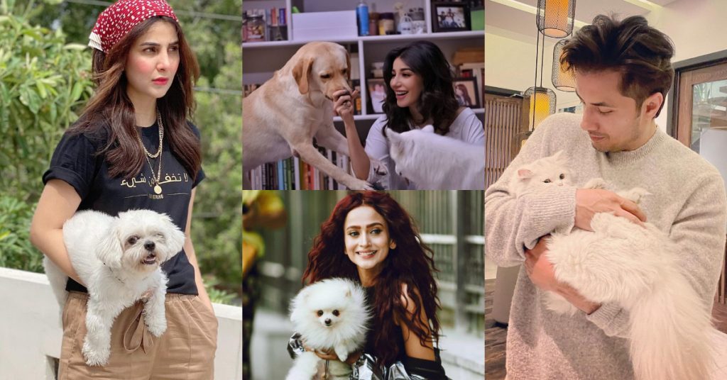 Celebs Who Are Clearly Obsessed With Their Pets