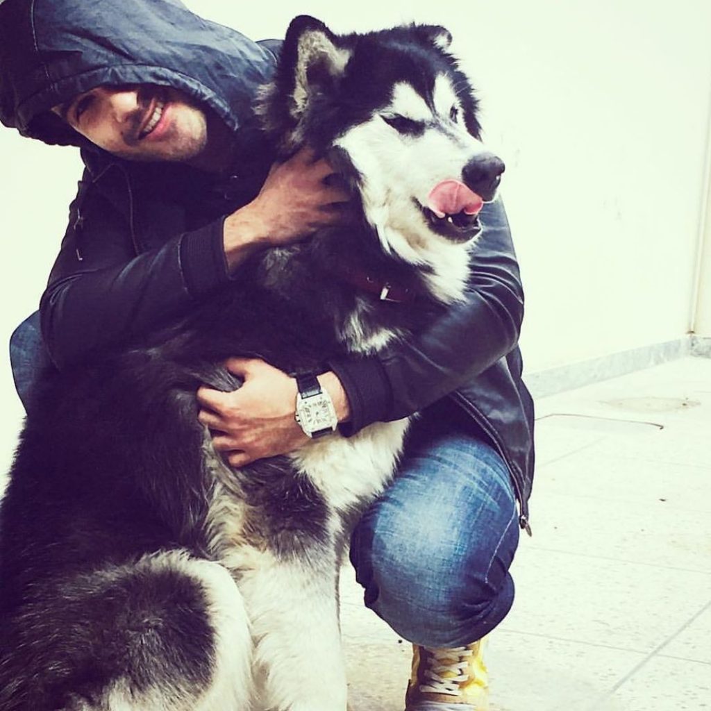 Celebs Who Are Clearly Obsessed With Their Pets