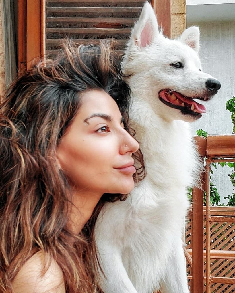 Celebs Who Are Clearly Obsessed With Their Pets