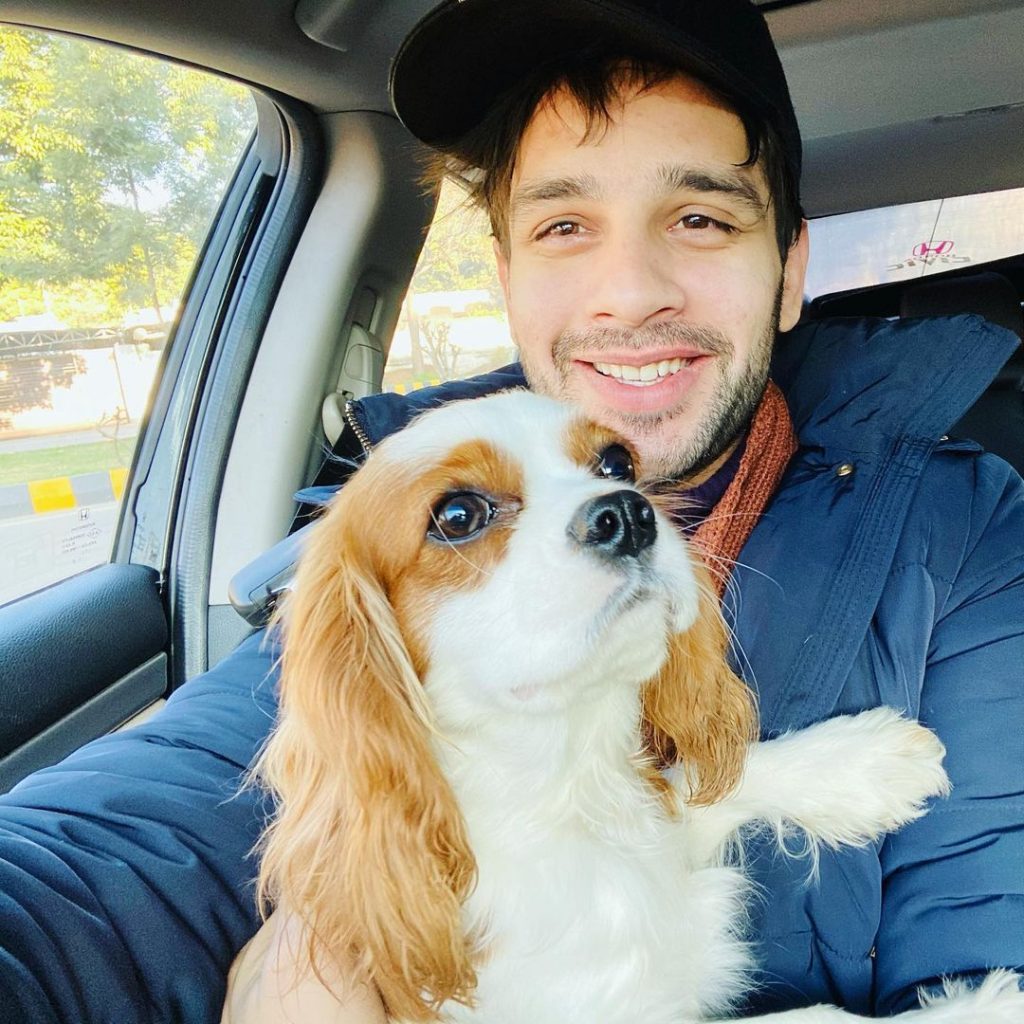 Celebs Who Are Clearly Obsessed With Their Pets