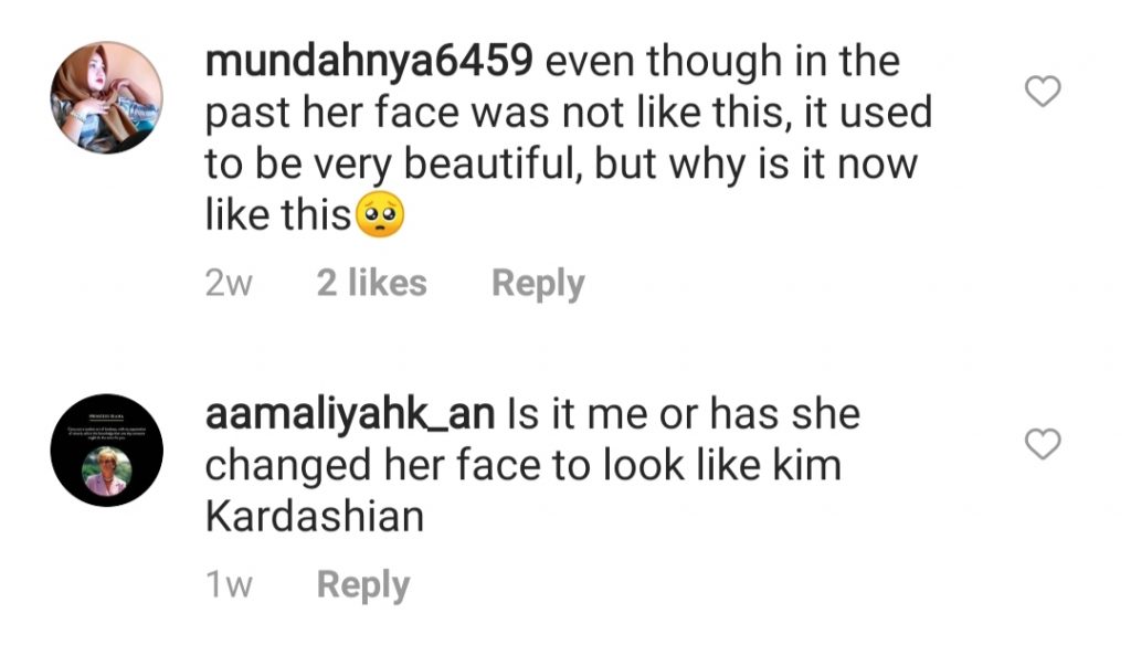 Public Criticism On Faryal Makhdoom's Picture