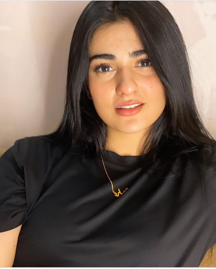 Sarah Khan Fixed The Netizen Who Tried to School Her