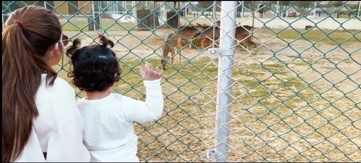 Muneeb And Aiman Took Daughter On Her First Visit To Zoo