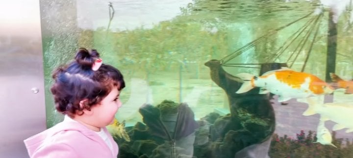 Muneeb And Aiman Took Daughter On Her First Visit To Zoo