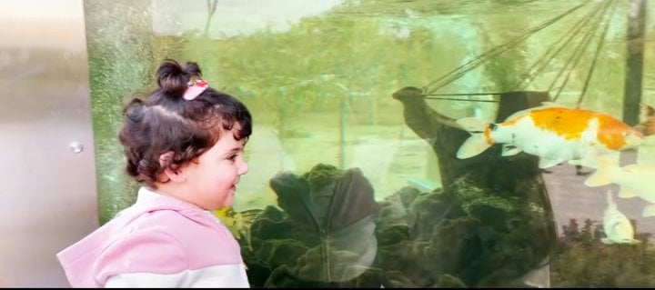 Muneeb And Aiman Took Daughter On Her First Visit To Zoo