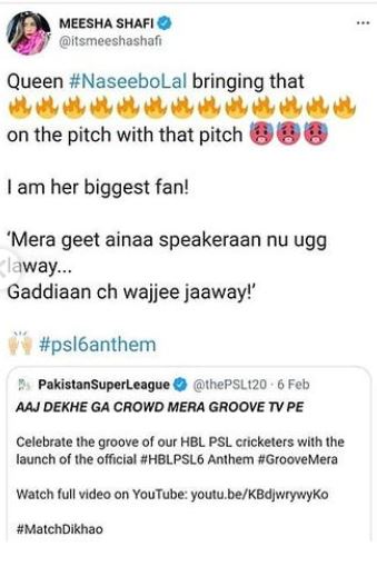 Celebrities Have Expressed Their Views On The New PSL 6 Anthem