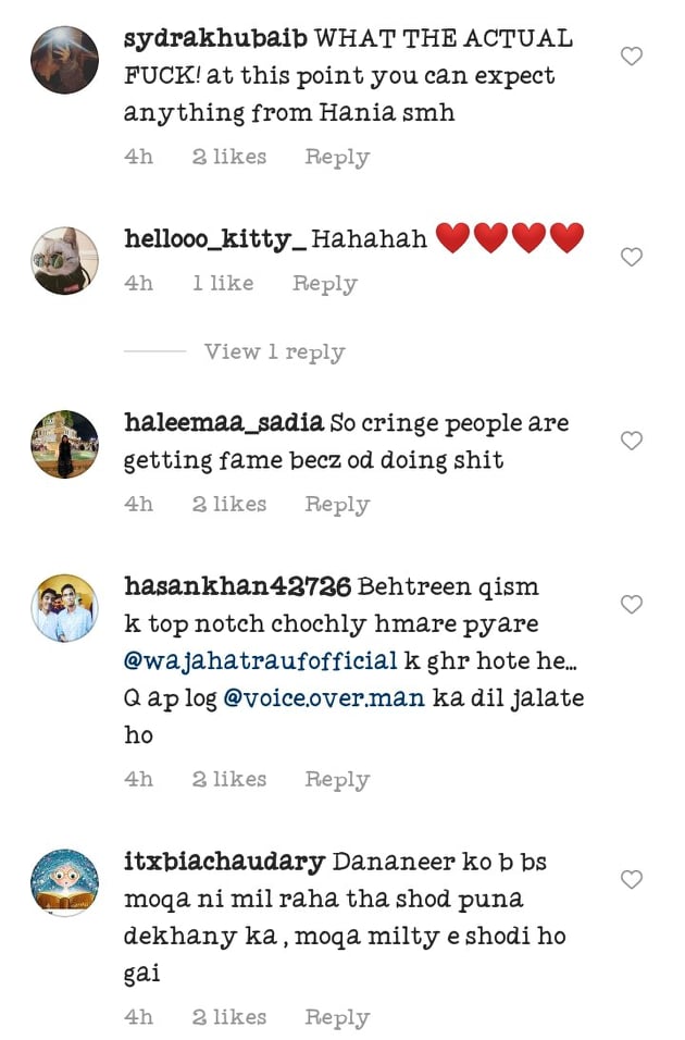 Public Criticism On Hania Aamir Force Feeding Dananeer Mobeen