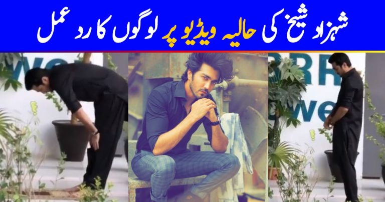 Public Reaction On Shahzad Sheikh’s Recent Video
