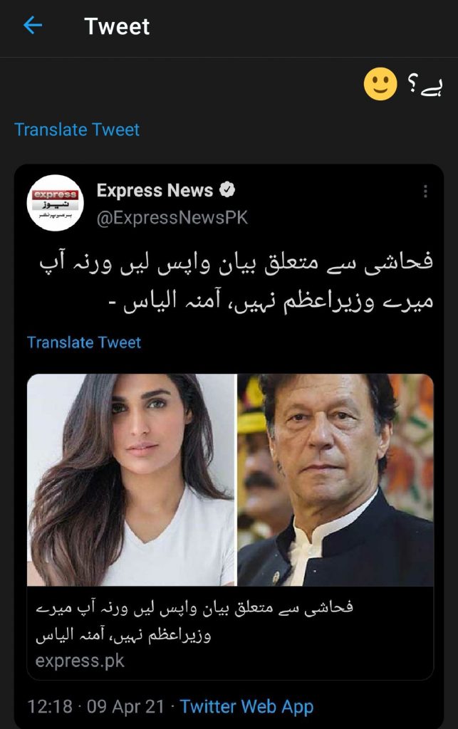 Twitter Thrashes Amna Ilyas on Abandoning Imran Khan As PM