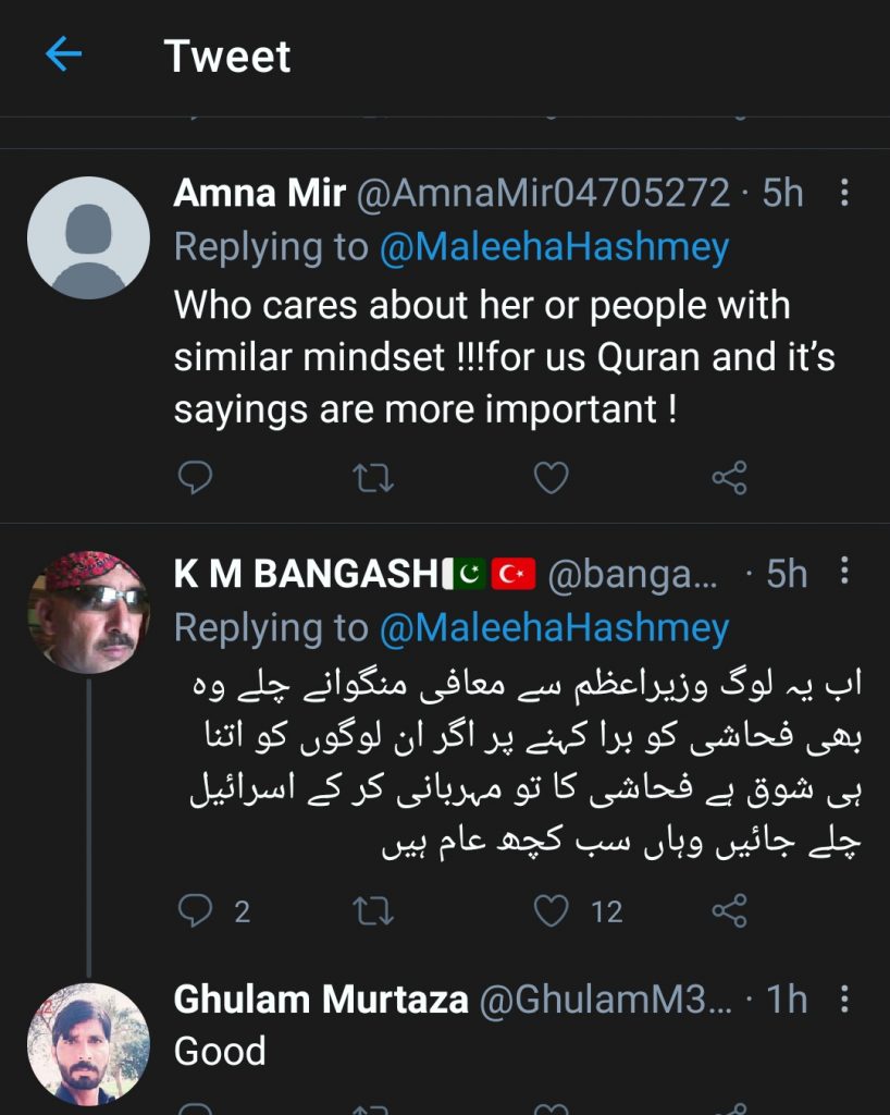 Twitter Thrashes Amna Ilyas on Abandoning Imran Khan As PM