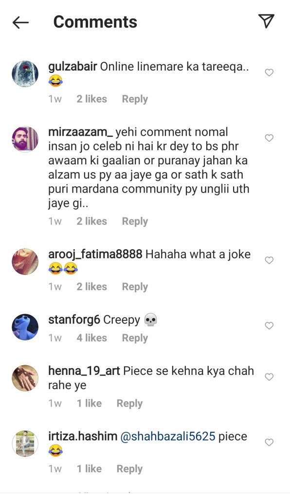Netizens Find Furqan Qureshi's Praise For Anoushay Abbasi Flirtatious