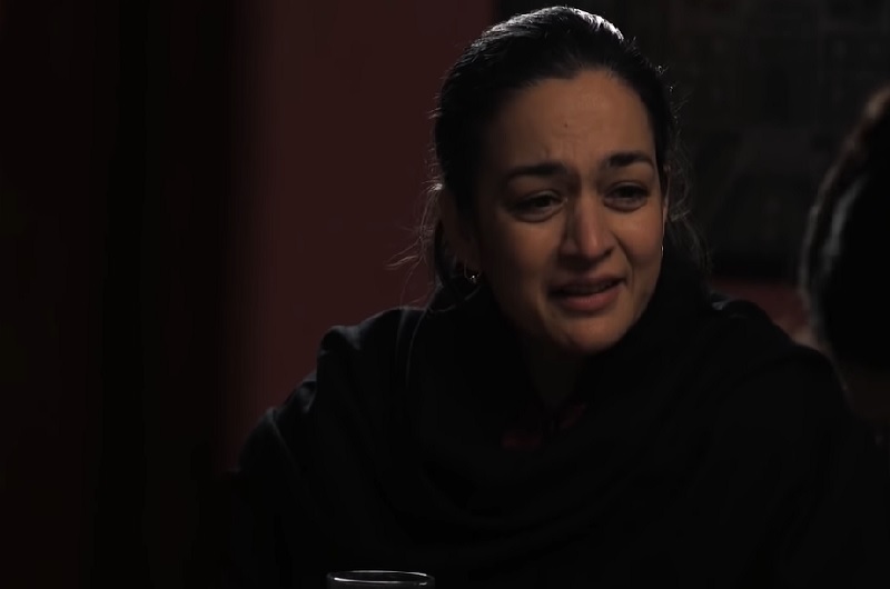 Best Performances From Pakistani Dramas Right Now