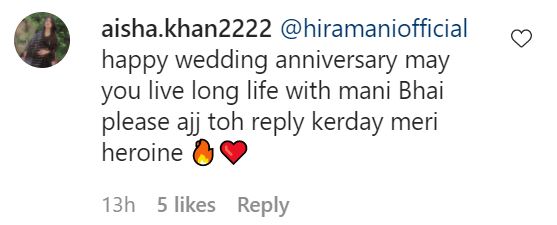 Celebrities Wish Hira And Mani On Their Wedding Anniversary