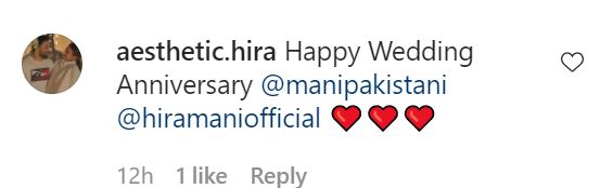 Celebrities Wish Hira And Mani On Their Wedding Anniversary