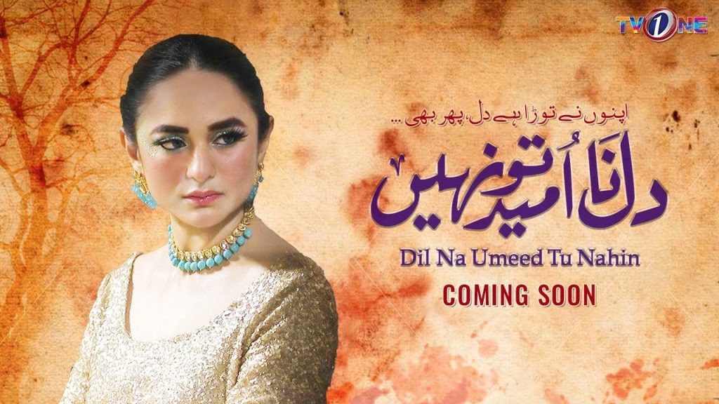 Why Drama Serial Dil Na Umeed To Nahi Not Airing