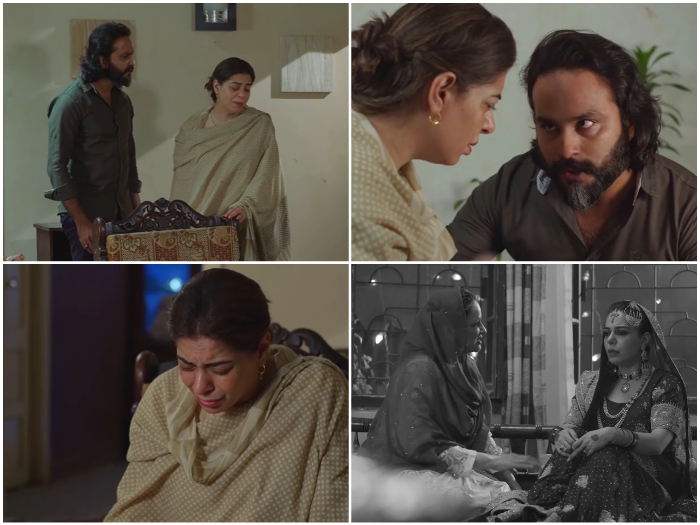Pehli Si Mohabbat Episode 14 Story Review – Outstanding Performances