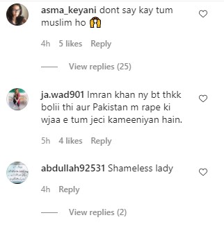 Saeeda Imtiaz's Latest Instagram Post - Public Criticism