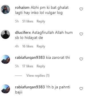 Saeeda Imtiaz's Latest Instagram Post - Public Criticism