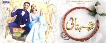 Shehnai Episode 13 Story Review - Lots of Twists & Turns