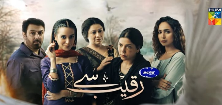 Drama Serial &quot;Raqeeb Se&quot; Last Episode - Public Reaction - Desi123.Com