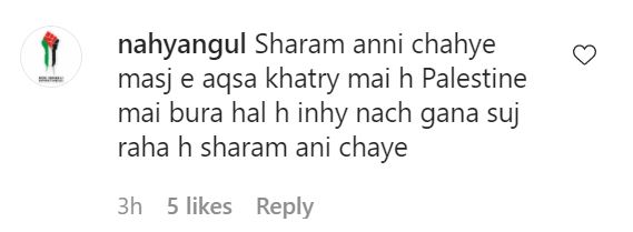 Public Reaction On Zarnish Khan's Recent Dance Video