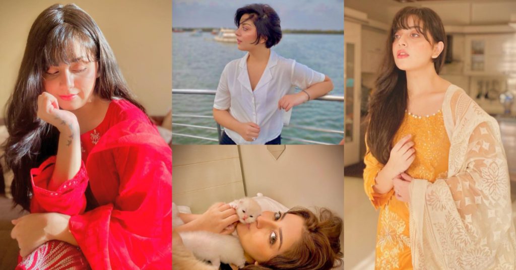 Recent Vibrant Pictures of Gorgeous Alizeh Shah