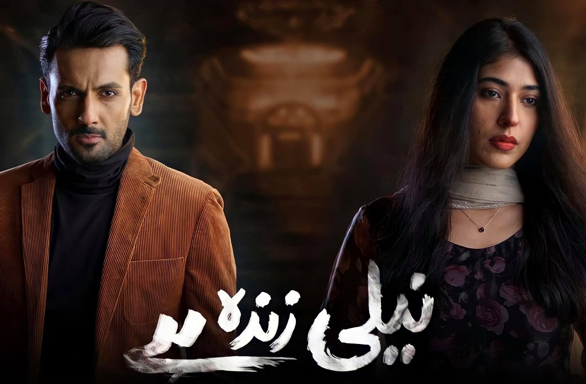 Do Current Issue-Based Pakistani Dramas Fit The Bill