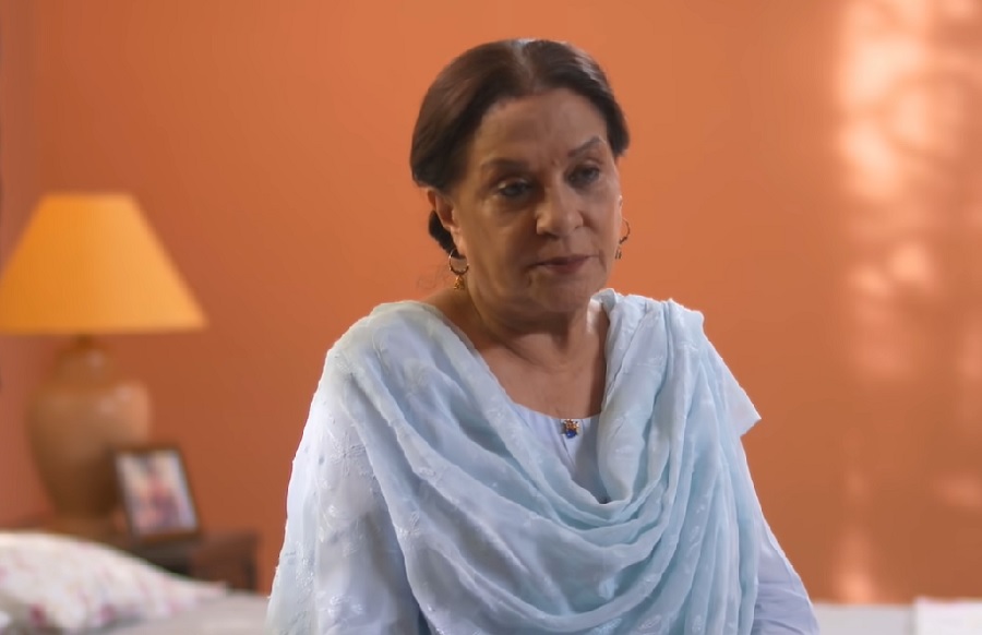 Most Likable Parents In Current Pakistani Dramas