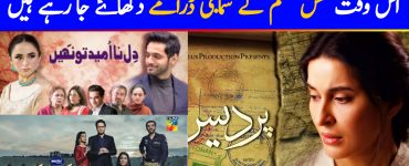 Do Current Issue-Based Pakistani Dramas Fit The Bill