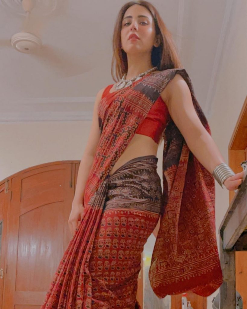 Ushna Shah Looks Super Chic In Saree