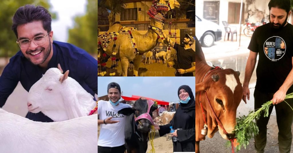 Pakistani Celebrities With Their Sacrificial Animals