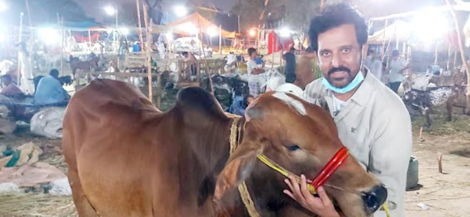 Pakistani Celebrities With Their Sacrificial Animals