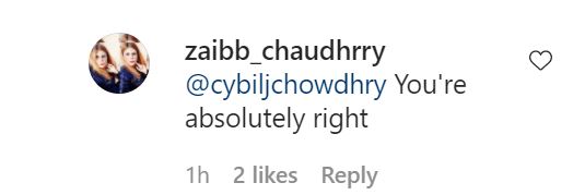 Cybil Chowdhry Criticized For Her Comments About Bella Hadid's Dressing