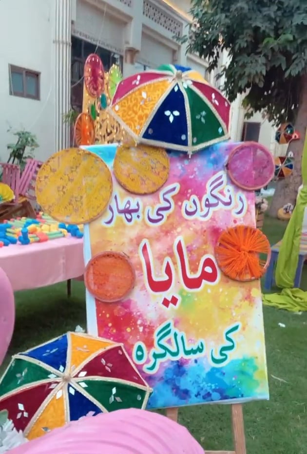 Netizens' Criticism On Maya Ali's Holi-Themed Birthday Party