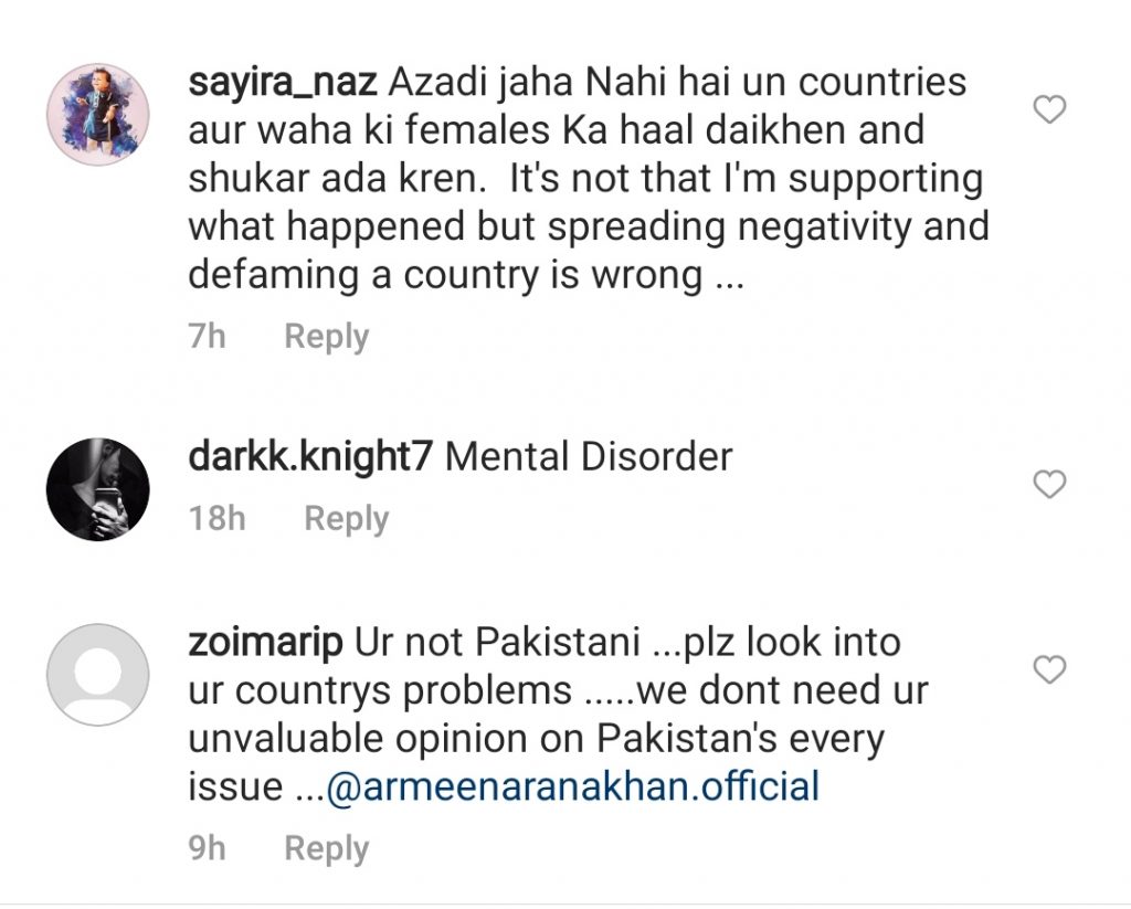 Public Criticism On Armeena Khan On Her Recent Statement About Pakistan