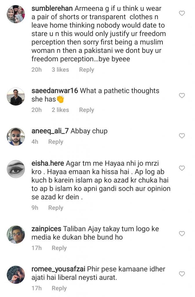 Public Criticism On Armeena Khan On Her Recent Statement About Pakistan